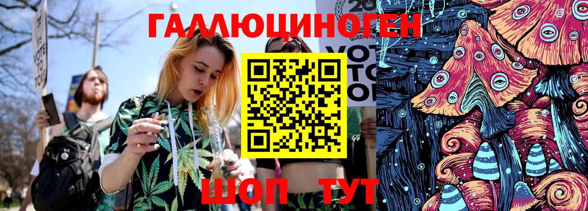 Псилоцибиновые грибы Cubensis Красноярск