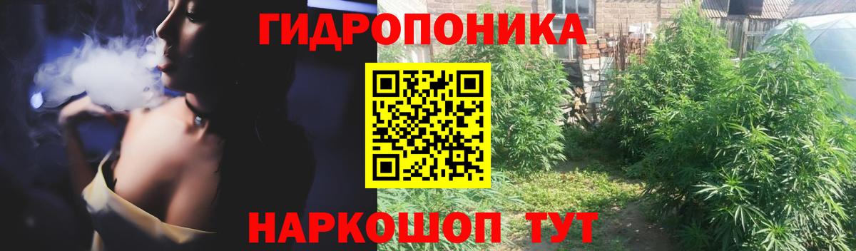 МАРИХУАНА семена Красноярск
